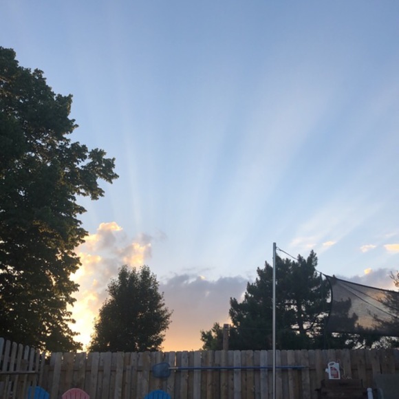 Meet your Posher, Ariel - Picture 1 of 1